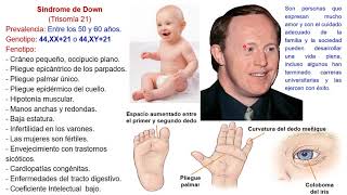 ANEUPLOIDIAS Sindrome de Down Patau Edward Klinefelter Turner Criduchat [upl. by Naleag]