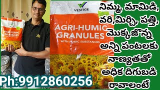 Vestige Agri Humic granules benefits amp usages భూమి గుల్లబారటానికి పంట దిగుబడి పెరగటానికి [upl. by Noma]