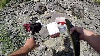 Shad Fishing at Bonneville Dam 61221 [upl. by Gentille669]