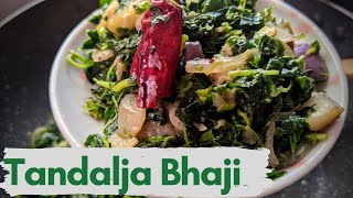 Tandalja Bhaji  Chawli Bhaji  Bhaji Saag  Sukoon  सुkoon​  Healthy Recipe [upl. by Jennings]