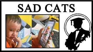 Kids Are Crying Over AI Sad Cat Videos [upl. by Hasen]