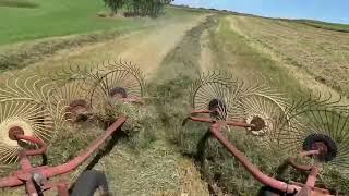 Raking Hay with the International 826 and Gehl Wheel Rake [upl. by Cyril222]