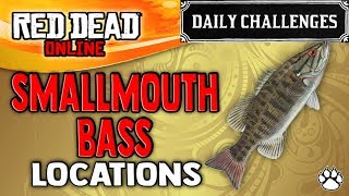 Red Dead Online  Smallmouth Bass Location  RDR2 Daily Challenge Smallmouth Bass Caught [upl. by Ardel]