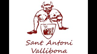 Sant Antoni 2020 Vallibona [upl. by Altman]