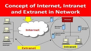 What is Internet INTRANET and ExtraNET in Network [upl. by Yot]