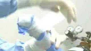 Dog ACL Surgery [upl. by Lux]