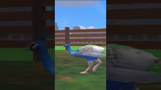 Cleaning the Peafowl Zoo Tycoon 21 shorts [upl. by Donnamarie385]