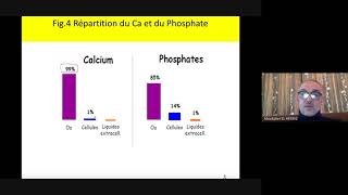 Métabolisme phosphocalcique  Module Endocrinologie fondamentale SVI S6 [upl. by Elleuqram345]