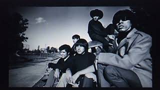 Question Mark amp the Mysterians quot96 Tearsquot 1966 [upl. by Sil]