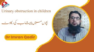 Urinary obstruction in children بچوں میں پیشاب کی رکاوٹ Dr Imran Qadir [upl. by Kalin559]