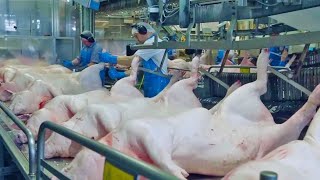 Chinese Eat 700 Million Pigs A Year Pork Processing Factory [upl. by Swart]