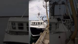 THE ELLEN MAC MOORED IN AMBLE HARBOUR NORTHUMBERLAND [upl. by Nirb]