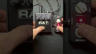 ProCo RAT2 vs MOOER Black Secret Lead guitar then rhythm both going into a Marshall 1987x [upl. by Eenwat]