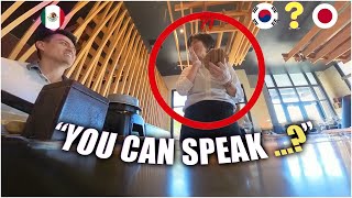 Koreans and Japanese reacting to Mexican guy speaking their languages FLUENTLY in Silicon Valley [upl. by Novart]