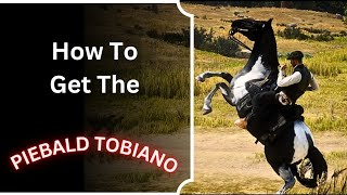 How To Get The Rarest Hungarian Halfbred in RDR2 [upl. by Eornom553]