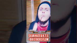 ilva haze and kt  big stacks flow dropping soon silvahaze [upl. by Artenahs644]