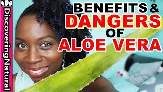 BENEFITS amp DANGERS of ALOE VERA  Hair Loss Treatment and Dandruff Treatment  Natural Hair [upl. by Suivart]