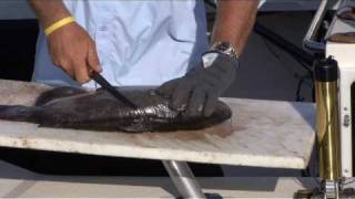 The BEST Way to Fillet Catfish [upl. by Agler]