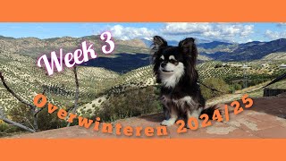 Overwinteren 202425 week 3 [upl. by Eidur94]