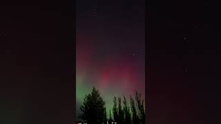 Geomagnetic Storm G4 Aurora Borealis Goodwood Ontario Oct 10 2024 timelapse canada shorts [upl. by Callahan]