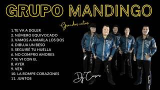 💥GRUPO MANDINGO💥 GRANDES EXITOS dj César 🇵🇾🇦🇷 [upl. by Tanitansy182]