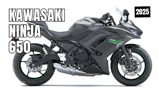 2025 The New Kawasaki Ninja 650 Performance or Tourer Review [upl. by Asoral597]