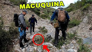 BUSCANDO MACUCAS [upl. by Janot]