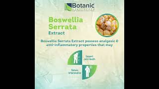 Uses of Boswellia Serrata [upl. by Norri679]