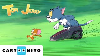 TOM VE JERRY  Çifte Sorun  YENİ Çizgi Film  CartoonitoTurkiye [upl. by Nurat]