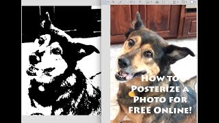 How to Posterize a Photo Online for Free without Photoshop [upl. by Fiona365]