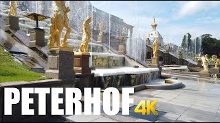 Peterhof Park Sankt Petersburg walking tour 4k 60fps [upl. by Marinna]