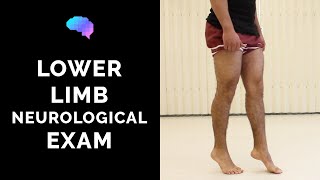 Lower Limb Neurological Examination  OSCE guide old version  UKMLA  CPSA [upl. by Spalla884]