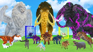 5 Giant Mammoth Elephant Cow vs 5 Giant Lion Tiger vs Monster Trex Wolf Saved By Mastodon Mammoth [upl. by Yanttirb]