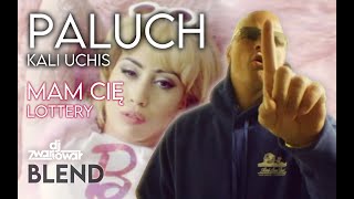 Paluch  Kali Uchis  Mam Cię  Lottery Dj Zwariował blend [upl. by Nosle]