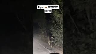 Sloth Bear Killed Men  Sloth Bear Attack Human  Pilibhit Tiger Reserve Night Drive bear shorts [upl. by Niar501]