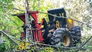 The Cat 573C Feller Buncher [upl. by Eirac]