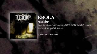 แผลเป็น  EBOLA from the album 0559 AM fivefifty nine  2010 【OFFICIAL AUDIO】 [upl. by Brockie663]