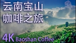 4K 云南保山  咖啡之旅Yunnan Baoshan  Coffee Tour [upl. by Hoehne816]