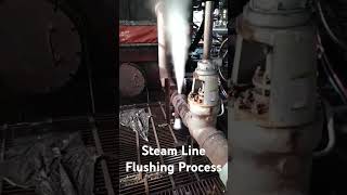 Powerplant Line Flushing Process [upl. by Rayle]