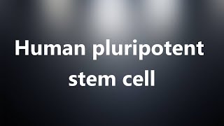 Human pluripotent stem cell  Medical Meaning and Pronunciation [upl. by Narib]