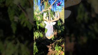 Handmade Ornament with Holographic Deer Head Silicone Mold resinartist resinmolds deer [upl. by Adnavoj823]