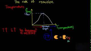 Активность фермента Enzyme activity Влияние температуры рН концентрации субстрата [upl. by Mingche]