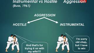 Aggression definitions and theories [upl. by Cassie]