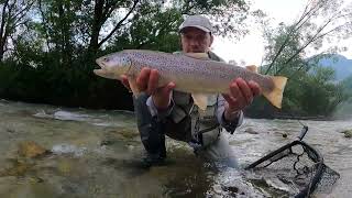 Muškaření v Italii Italy Fly fishing in the Dolomites part 2 [upl. by Aibar]