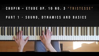 Chopin Op 10 No 3 in E Major Tutorial The Basics  quotTristessequot [upl. by Yboj239]