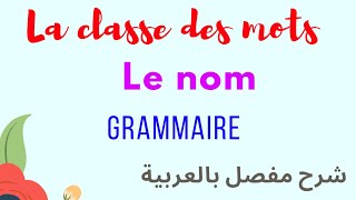 Français  grammaire  La classe des mots  Le nom [upl. by Halli402]