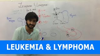 Leukemia  Overview  Classification [upl. by Winslow240]