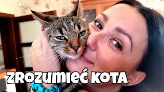 VLOG  jak zrozumieć co kot mówi  wybór roweru  zupa [upl. by Dotty]