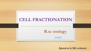 cell fractionation in tamilCell fractionation in bsc zoology in tamilCell biology fractionation [upl. by Eldreda]