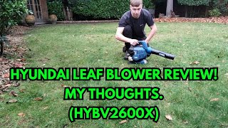 Hyundai Leaf Blower Review amp My Thoughts HYBV2600X [upl. by Hanway980]